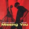 Missing You (Remix) - Single