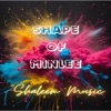 Shape of Minlee (Minlee Remix) - Single