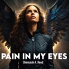 Pain In My Eyes - Single