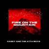 Fire on the Mountain - Single