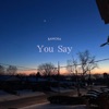 You Say - Single