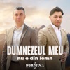 Dumnezeul meu nu e din lemn - Single