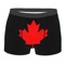 Canadiens Dans Nos Poches cover