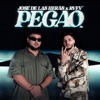 PEGAO - Single