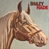 Shazy Hade - Piss on My Parade
