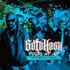 STH - Pentru Hip-Hop (feat. Rashid & DJ WicKeD)