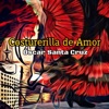 Costurerilla de amor - Single