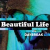 Beautiful Life - Single