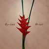 Rayan Labiche - Chak Jou