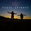 Tegul Spindės - Single