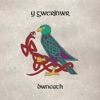 Y Gwerinwr - Single