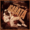 Medley de Igaratá - Single
