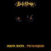 Busta Rhymes - National Treasure