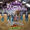 La Reyna de Guanajuato - Single