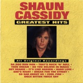 Da Doo Ron Ron by Shaun Cassidy