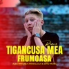 Tigancusa mea frumoasa (Remix) - Single