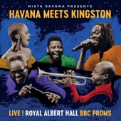 Havana Meets Kingston - Vibración Positive