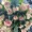 sorry in advance by Yorke