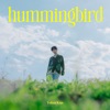 hummingbird - Single