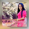 A Promessa Está de Pé - Single