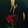 Everything - Single