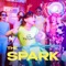 The Spark (feat. Lisdoonvarna Crew) cover