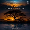 Goodbye My Love - Single