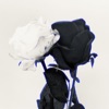 Revanchard - Single