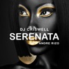 Serenata (feat. Andre Rizo) - Single