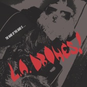 The Name of This Band Is L.A.Drones!