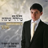 ענווים artwork