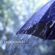 Tropical Storm to Sleep to - Rain Sounds