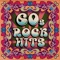 Bobby Fuller Four - I Fought the Law
