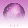 School of Seven Bells - Confusion