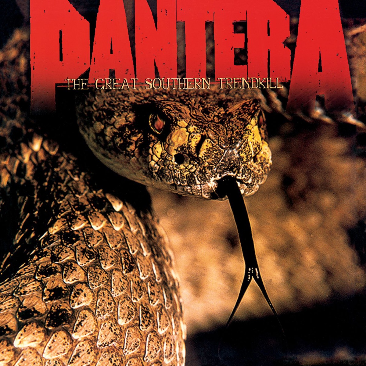 PANTERA レコード12インチLP パンテラ