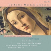 Ave Maria, Op. 52 No. 6, D. 839 (Arr. for High Voice, Choir & Harp) artwork