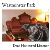 Westminster Park - Big Questions