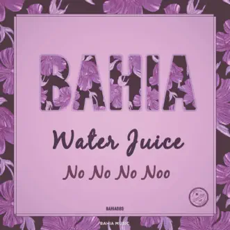 No No No Noo - Single by Water Juice album reviews, ratings, credits