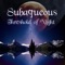 Visions Embrace (feat. Masaru Higasa) - Subaqueous lyrics