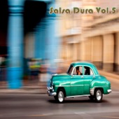 Salsa Dura, Vol. 5 artwork