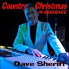 Country Christmas in Sequence