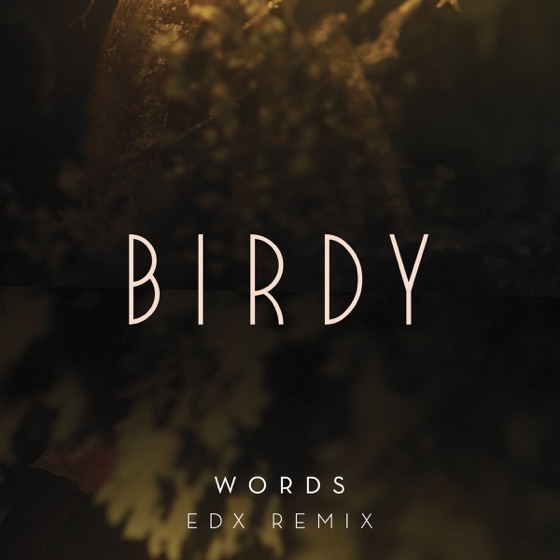 Cover artwork for Words (EDX Remix)