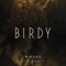 Words (EDX Remix) - Birdy lyrics