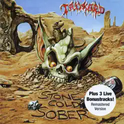 Stone Cold Sober (Bonus Track Edition) - Tankard