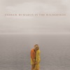 Andrew McMahon in the Wilderness (Deluxe Edition) artwork