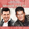 Sehnsucht nach dir - Single