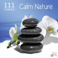 111 Songs Calm Nature, Relaxing Ocean Waves - Deep Zen Meditation Music with Vibrational Healing, Ambient Sleep Music, Massage, Yoga and Spa by Various Artists album reviews, ratings, credits