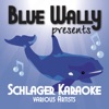 Blue Wally Presents Schlager Karaoke, 2015