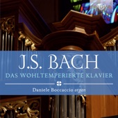 Das wohltemperierte Klavier I: Prelude No. 2 in C Minor, BWV 847 artwork