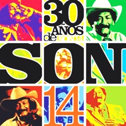 Conjunto Son 14 - Tal Vez Vuelvas a Llamarme